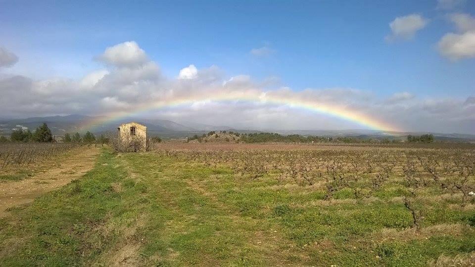 Domaine D'Azeou Konuk evi Laure-Minervois Dış mekan fotoğraf